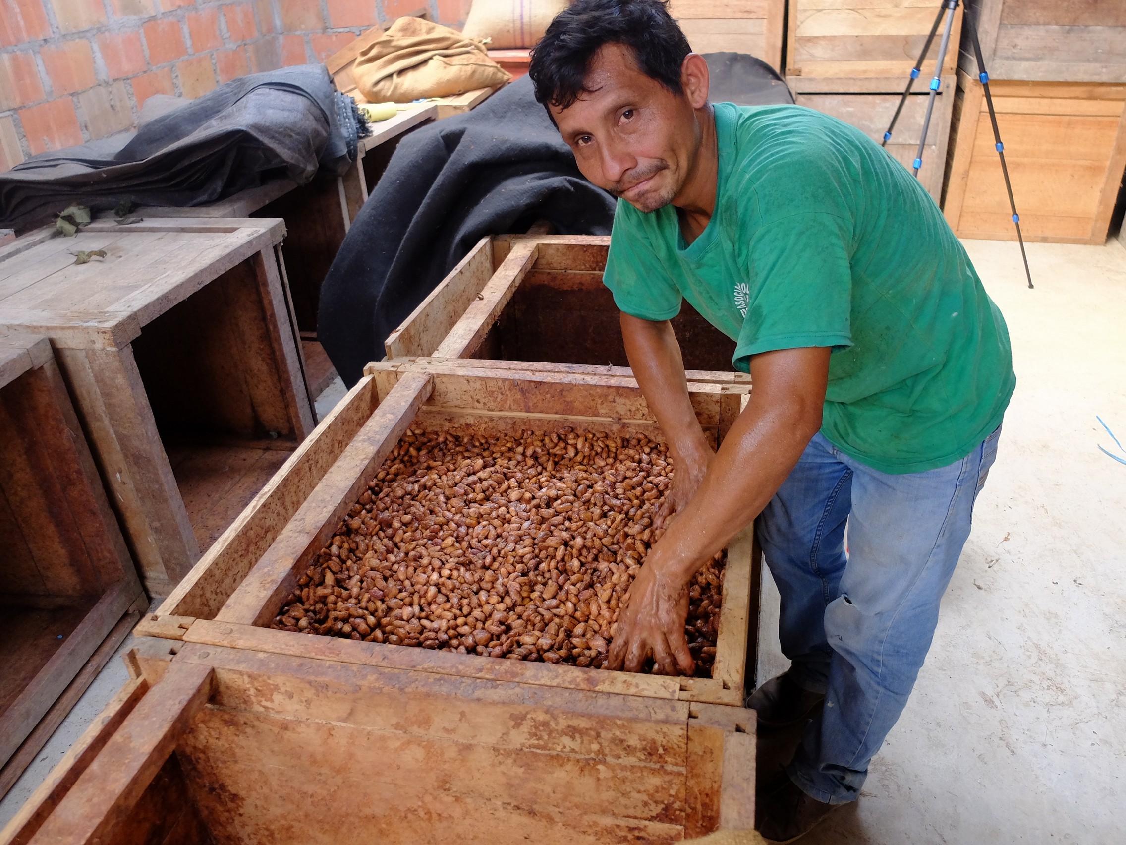 Mann verteilt Kaffeebohnen in einer Holzkiste