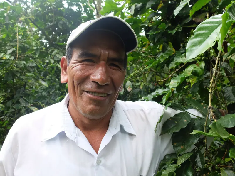 Mann im Kaffeeanbaugebiet