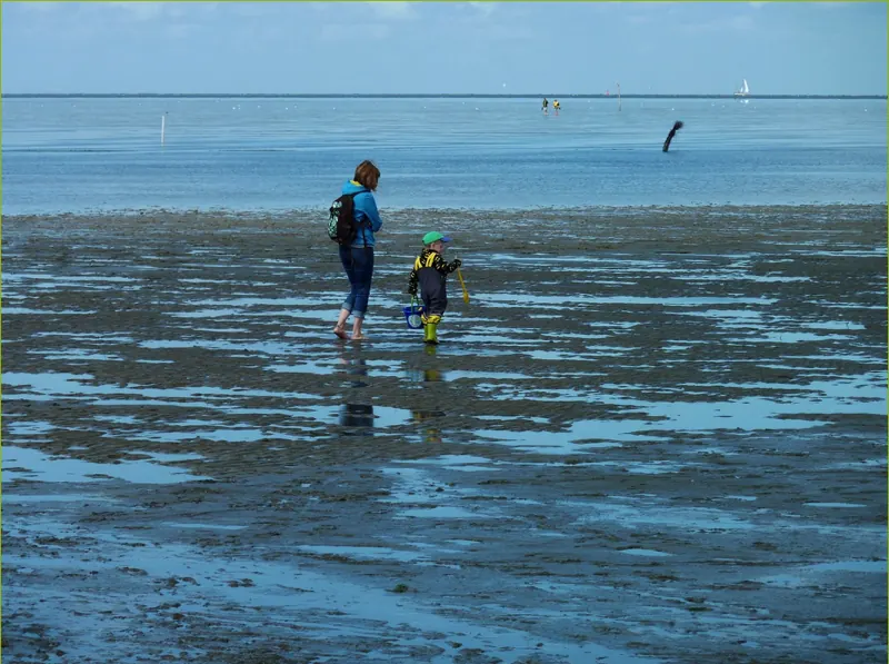Familie wandert im Watt Meer