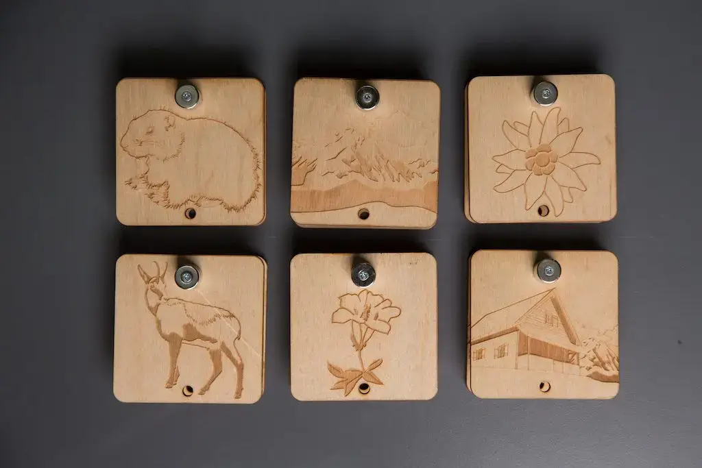 Sechs Holzplättchen-Paare mit verschiedenen abgebildeten Tier,- Blumen- und Hausmotiven